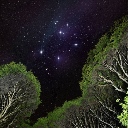 What does Matariki mean to ŌKU? - ŌKU NZ